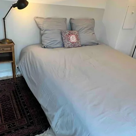 Charming Parisian Rooftop ! 120m2 For 8 People * Saint-Mandé