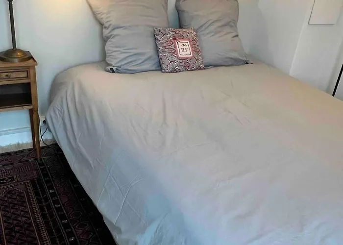 Charming Parisian Rooftop ! 120m2 For 8 People * Saint-Mandé